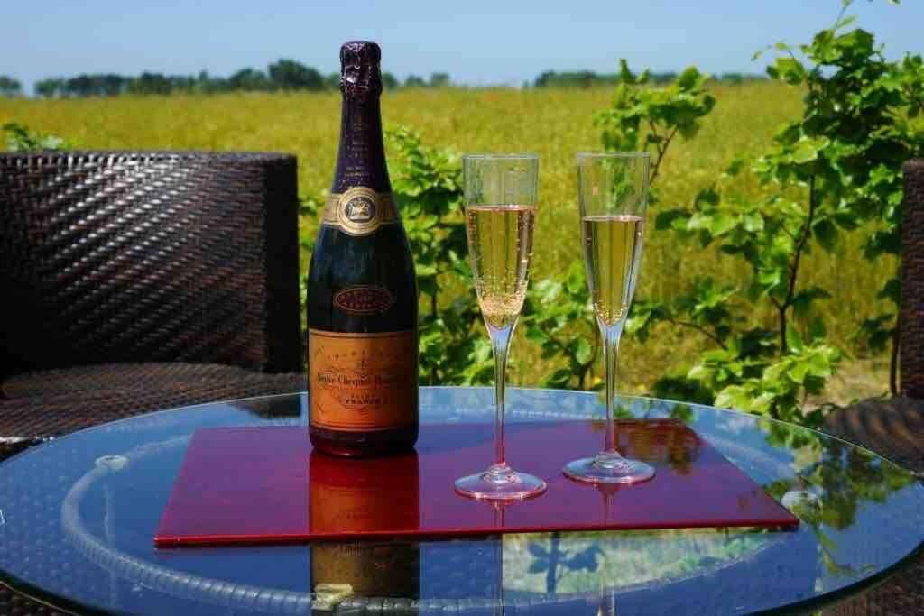 Chienmarin Healthfarm & Residences Anno 1712 ***** Nieuwpoort Εξωτερικό φωτογραφία